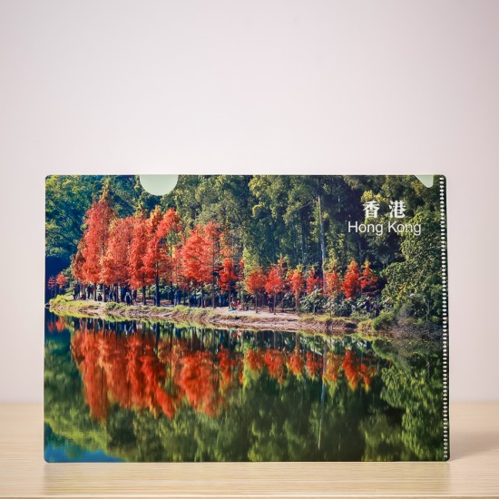 A4 Plastic Folder – Bald Cypress