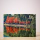 A4 Plastic Folder – Bald Cypress
