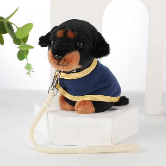 PDU Rottweiler