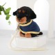 PDU Rottweiler