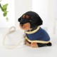 PDU Rottweiler
