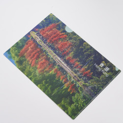 A4 塑膠文件夾 - 落羽杉