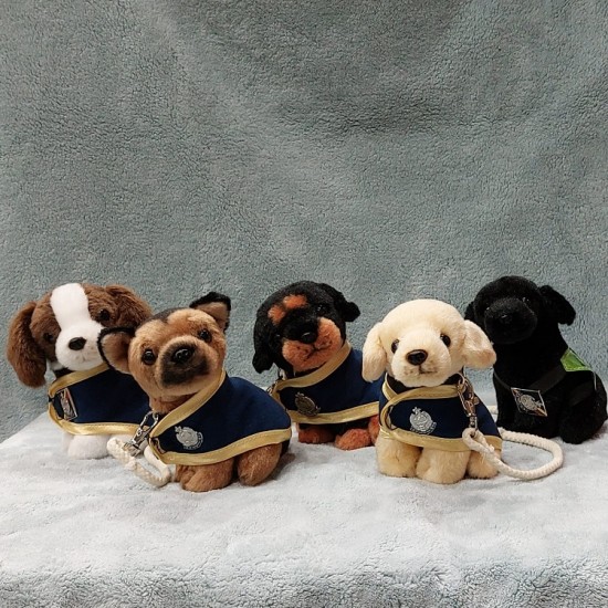 PDU Rottweiler