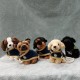 PDU Rottweiler
