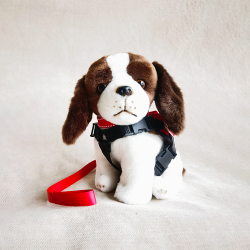 消防處坍塌搜救犬TWIX 消防處坍塌搜救犬TWIX