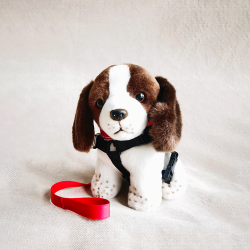 消防處坍塌搜救犬UMI 消防處坍塌搜救犬UMI