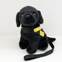 消防處火警調查犬ROCKY 消防處火警調查犬ROCKY