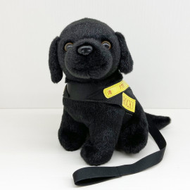 消防處火警調查犬ROCKY