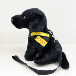 消防處火警調查犬ROCKY 消防處火警調查犬ROCKY