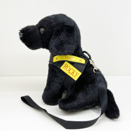 消防處火警調查犬ROCKY