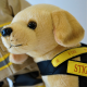Fire Investigation Dog-STIG