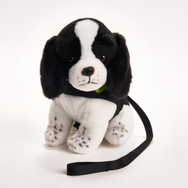 懲教署 - 警衛犬