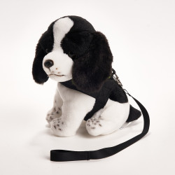 懲教署 - 警衛犬 懲教署 - 警衛犬